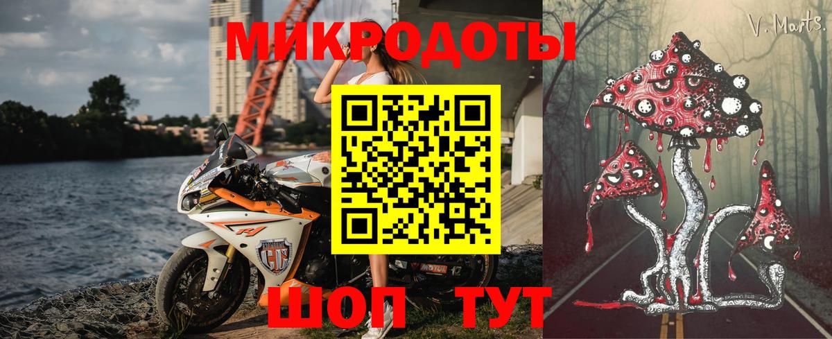Галлюциногенные грибы мухоморы Артёмовский