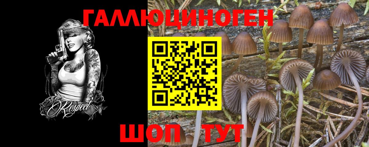 Артёмовский  Псилоцибиновые грибы Magic Shrooms  Вход с VPN 